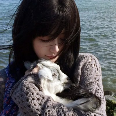 贝拉的奇幻花园